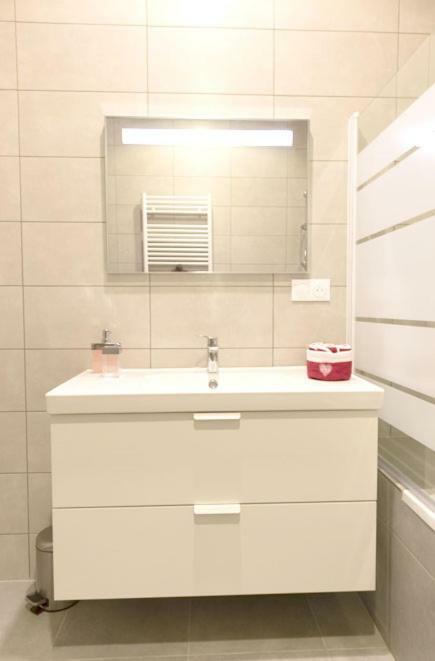 Appartement Grand Standing Vauban 10 Personnes Centre Historique De Colmar Eksteriør bilde